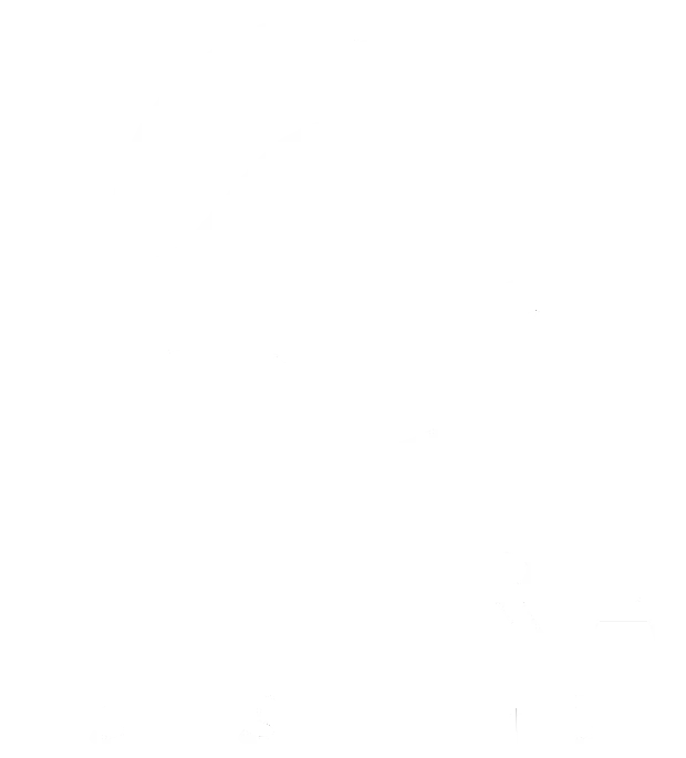 Tethra Systems